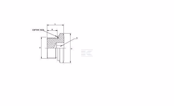 Tapón de puerto roscado 1-1/4" BSP WD SS 2 Threaded Port plug 1-1/4" BSP WD SS