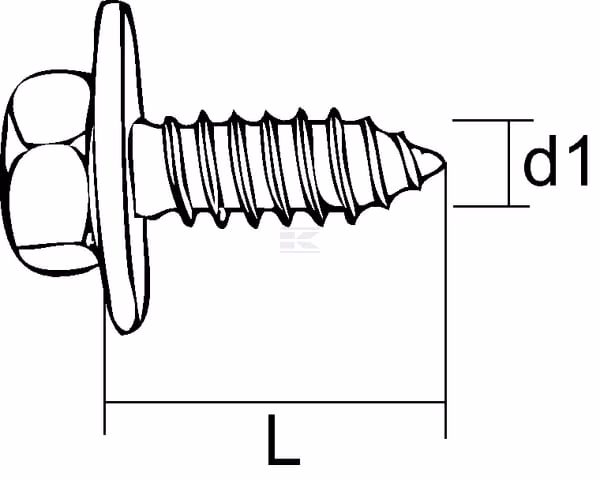 Tornillo autorroscante Ø 8 x 19 mm 6-puntas, hexagonal de 13 mm, acero, DIN 6901, Kramp 2 Tornillo autorroscante Ø 8 x 19 mm 6-puntas, hexagonal de 13 mm, acero, DIN 6901, Kramp