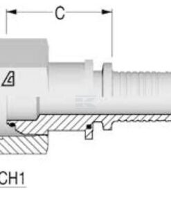 Inserto F NS-DN20-1" BSP