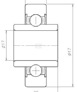 Rodamiento de rodillos