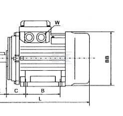 Motor eléctrico 5,5 kW