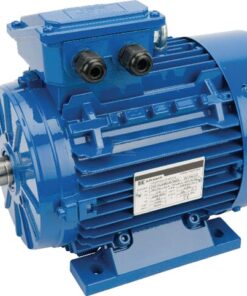 Motor eléctrico 2,2 kW