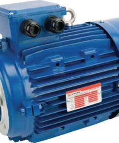 Motor eléctrico 4 kW