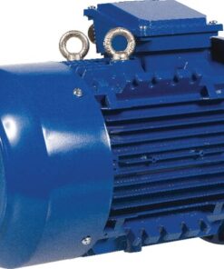 Motor eléctrico 0,75 kW