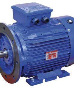 Motor eléctrico 22 kW