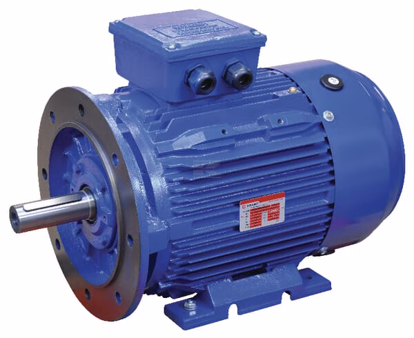 Motor eléctrico 22 kW 1 Motor eléctrico 22 kW
