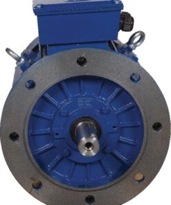 Motor eléctrico 0,75 kW
