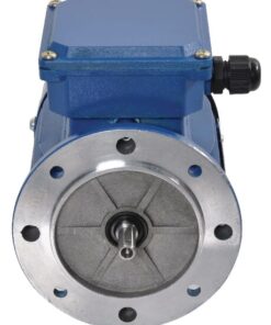 Electric motor 0.12 kW