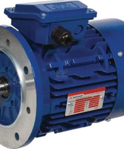 Motor eléctrico 22 kW