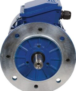 Motor eléctrico 30 kW