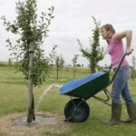 Depósito agua para carretilla 80 L