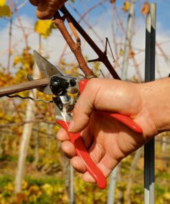 Tijeras jardinería Felco nº 6