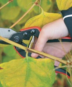 Tijeras de poda Felco Essentiel 160S