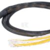 81-pol AMP, código(B) c/ cable