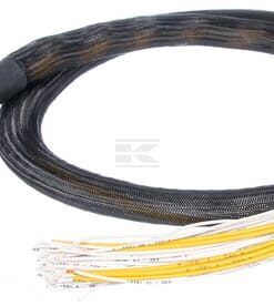 81-pol AMP, código(B) c/ cable