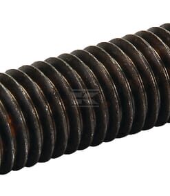Tapones Gaspardo