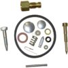 Set de reparación para carburador Tecumseh 631584