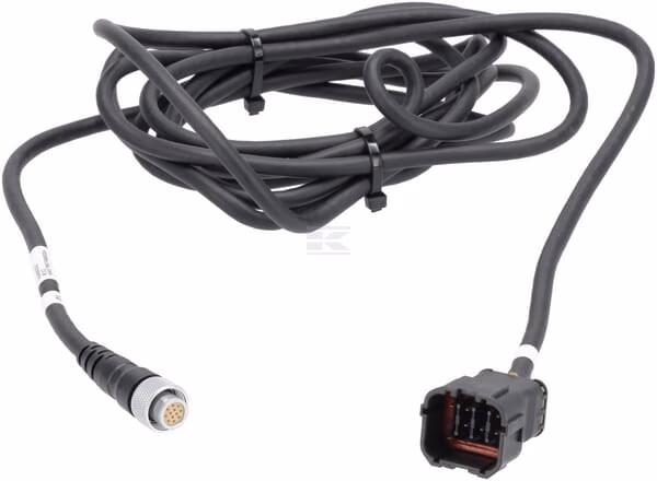 Mazo de cables receptor "Receptor" 1 Mazo de cables receptor "Receptor"
