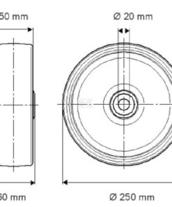 Rueda 250 mm 3 Rueda 250 mm