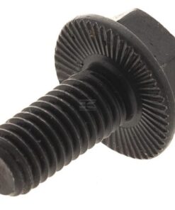 Tornillo de fijación