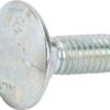 Tornillo redondo plano 3 Tornillo redondo plano
