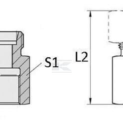 Unión simple hembra (cuerpo) 15L-1/2 BSP