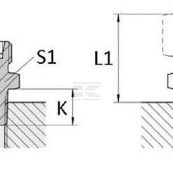 Acoplamiento 15L 1/2NPT