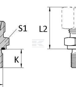 Racor roscado 8S - 1/4 BSP