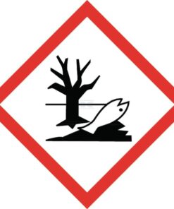 Juego de reparación SB