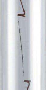 Bombilla Convencional 12V 5W SV8.5 Philips 3 Bombilla Convencional 12V 5W SV8.5 Philips