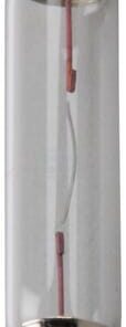 Bombilla 24V 3W SV6 Philips