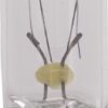 Bombilla 24V 2.5W W2.1x9.5d Philips