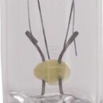 Bombilla 24V 2.5W W2.1x9.5d Philips