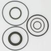 Set juntas motor orbital GLT