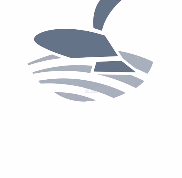 Cruceta inferior