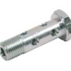 Perno banjo 1/4" BSP doble