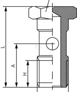 Tornillo hueco doble para Banjo