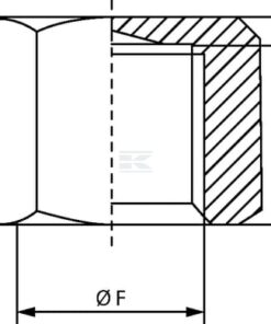 Tapón ciego hexagonal hembra
