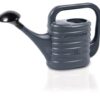 Regadera gris 5l