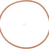 Water pump gasket