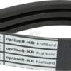3 correas Powerbelt