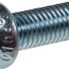 Tornillo cilíndrico
