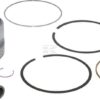 Piston Assembly