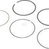 Set de anillos