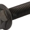 Tornillo de acero