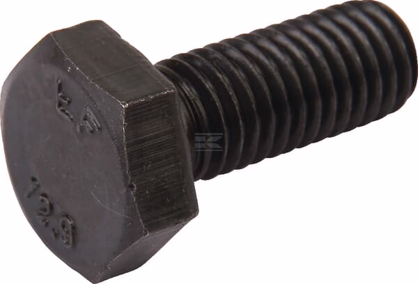 Tornillo 1 Tornillo