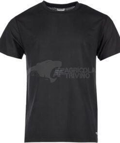 Camiseta deportiva de hombre, L (2 uds.)