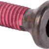 Tornillo