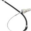 Cable