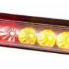 Luz trasera LED